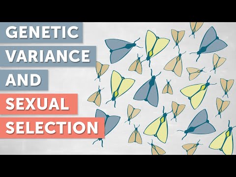 download lagu mp3 mp4 Astrid Groot, download lagu Astrid Groot gratis, unduh video klip Astrid Groot