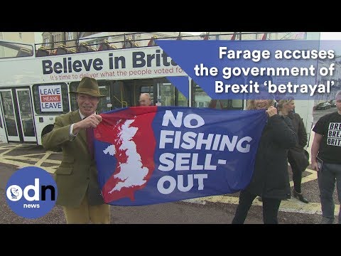 Nigel Farage accuses the government of Brexit ‘betrayal’