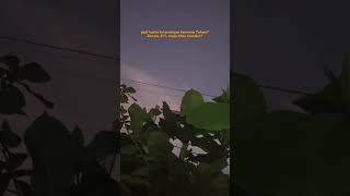 Download lagu Story kata-kata Kehidupan || Butterfly - Melly Goeslaw #storywa #aestheticstatus #langitsore lirik mp3 Download lagu Story kata-kata Kehidupan || Butterfly - Melly Goeslaw #storywa #aestheticstatus #langitsore lirik mp3