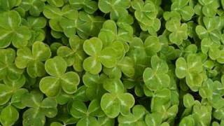 Cafe Del Mar - Irish Woman Traditonal Irish