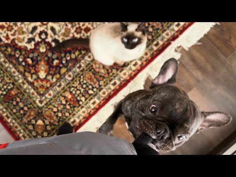 I Started Feeding the Birds… Now Shani Has Plans