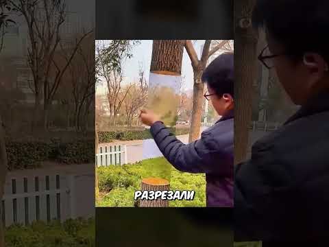 Результат Удивляет...#shorts