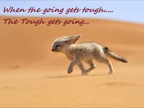 when the going gets tuf
