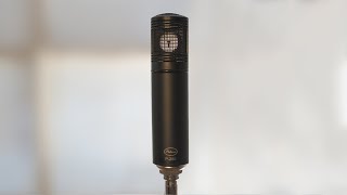 Video thumbnail for Peluso P-280 - Large Diaphragm Condenser Microphone by Beehive Productions