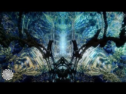 SOME1 - Delicate Vibrations (Full Album)