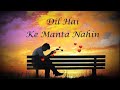 Dil Hai Ke Manta Nahin Status Song दिल है कि मानता नहीं Hindi Love S