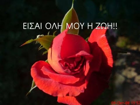 ΣΤΑΥΡΟΣ ΖΟΥΜΠΑΣ -  IBRAHIM TATLISES θα ξαναγυρισεις !!!
