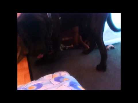 Pacco- porażenie czterokończynowe