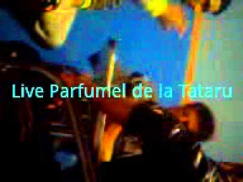 Live Parfumel de la Tataru