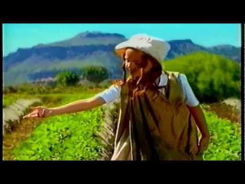 Sr. Amor - Chiquititas 1999 [HD]