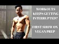Building Shoulder Shield l Vegan Bodybuilding l (LATE POST)