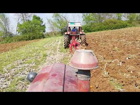 Imt 577 DW/Imt 539/Oranje 2019