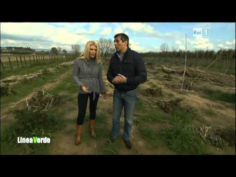 Valerio Rossi Albertini - Linea Verde: Effetto serra e energie rinnovabili