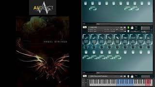 Video thumbnail for Auddict Angel Strings Vol. 1"First Look" by Fox Audio
