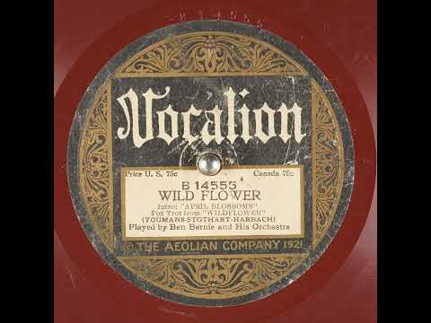Wild Flower - Ben Bernie and His Orchestra