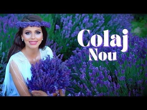 NOU 🎵 Georgiana Lobont 🎀 Muzica De Petrecere