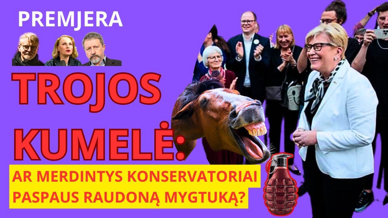 Landsbergynas paspaus susinaikinimo mygtuką: kariai Ukrainoje - be NATO? | Nausėdai - apkalta