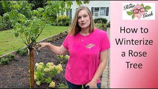 🌹 How to Winterize a Rose Tree // Rose Standard Winterization