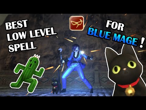 Best spell to level-up a low level blue mage!!! [FFXIV]