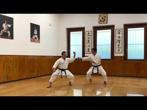 Jitte - Full Karate Kata Explanation with Bunkai - Master Dario Marchini