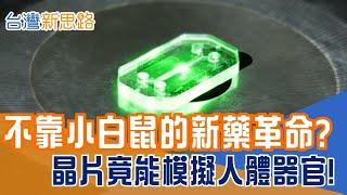 器官晶片崛起！AI 如何挑戰百年動物實驗？生物×材料×電子×物理的超級跨界：器官晶片有多難？│主播 苑曉琬│【台灣新思路】20251125│三立iNEWS