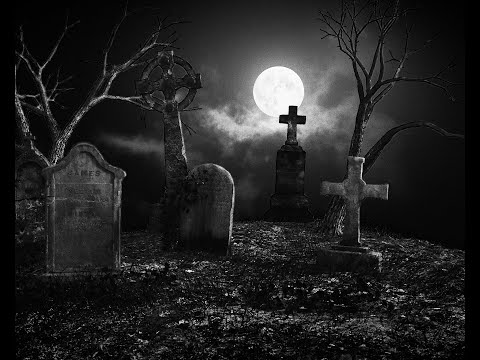 GNARLY CLUB - NOTHIN BUT KILLAZ (OG Avamato, Collvpse, Oz the Oddz, Jafarsnd)