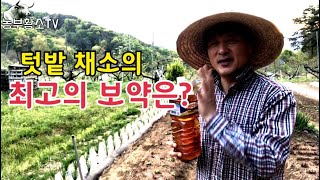 텃밭 채소가 가장 좋아하는 보약 소개 합니다