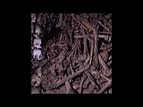 SHAO KANE - STONECOLDSTUNNER [feat. SATCHEL VI] (Audio)