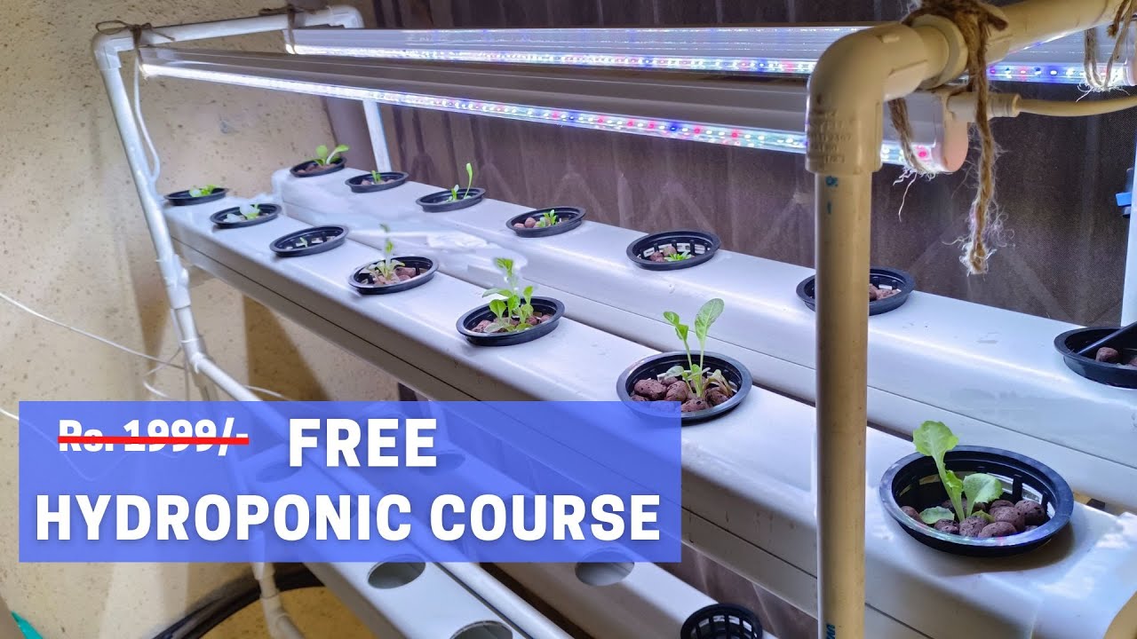 Free Hydroponics Course 2023