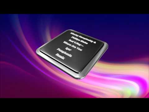 Nikolay Kempinskiy & Phillipo Blake feat V.Ray - Where Are You (Igor Pumphonia Remix)