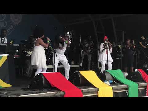 Janet Kay | Queen of Lovers Rock | Wishing On a star