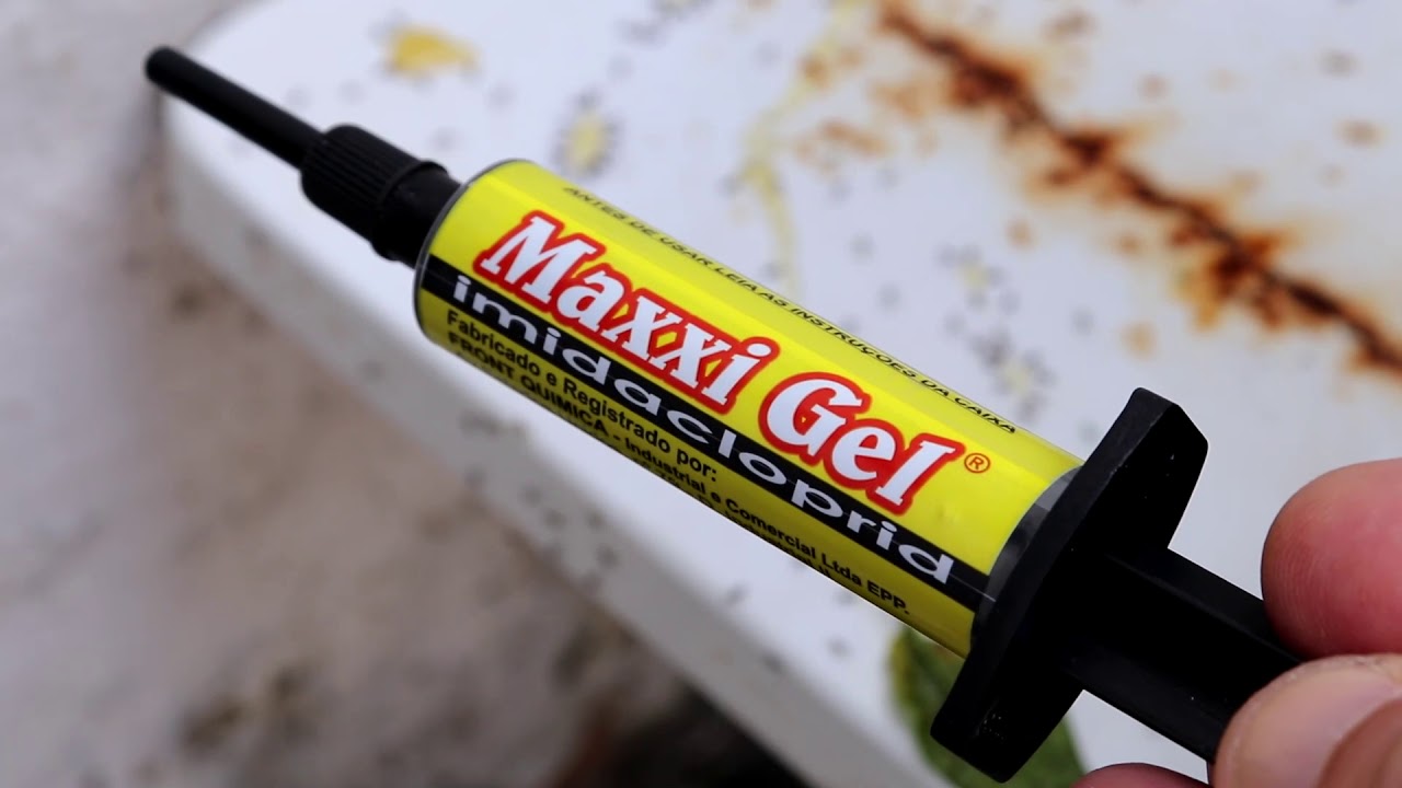 Watch Now MAXXI GEL E STRIKE VENENO PARA FORMIGAS MAXXI GEL E STRIKE VENENO PARA FORMIGAS