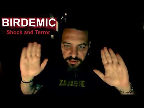 Patreon: Birdemic: Shock and Terror (2010) di James Nguyen - Minirece richiesta da Davide C.