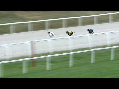 2019.07.21. 09. - agár futam