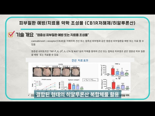 피부질환 예방, 치료용 약학 조성물