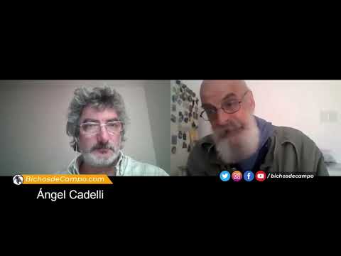 Ángel Cadelli, ex vicepresidente de Astillero Río Santiago