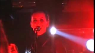 Maanam &quot;Lucciola&quot;