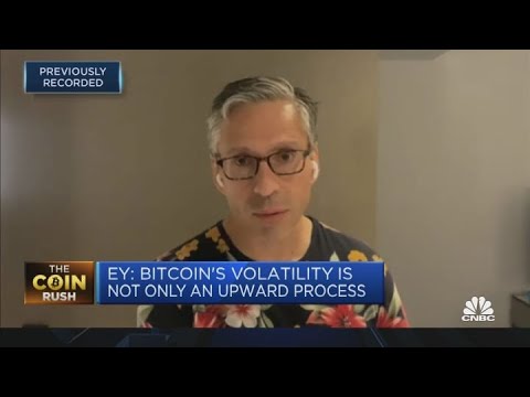 Separating the 'value propositions' of different cryptocurrencies, according to EY