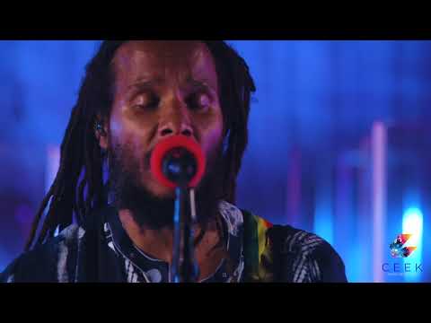 Beach in Hawaii - Ziggy Marley