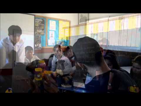 Proyecto Flor de Ceibo - Puntas de Cuñapirú 2013