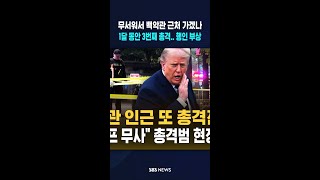 무서워서 백악관 근처 가겠나.. 1달 새 3번째 총격 / SBS / #shorts