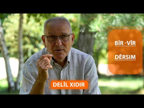 BİR (VİR) - EVIDENCE IS WRONG - (2025)