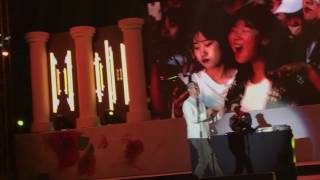 2017서울장미축제 엘로-day n night