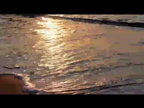 Por dentro dos bastidores - 04/09