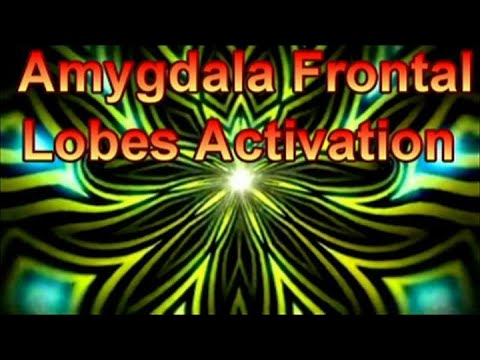 Amygdala Frontal Lobes Activation-PINEALWAVE 963 Hz-GOLD MEDITATION-Open Third Eye-Increases Focus
