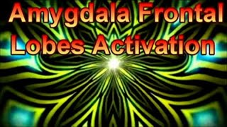 Amygdala Frontal Lobes Activation-PINEALWAVE 963 Hz-GOLD MEDITATION-Open Third Eye-Increases Focus