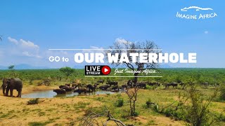 Live Stream from Waterhole - Imagine Africa Luxury Tented Camp - Greater Kruger live webcam