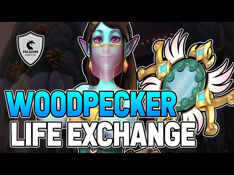 WooDPeckeR Ying Competitive (Patch 3.3) LIFE EXCHANGE - 222K Healing