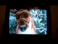Opening To Finding Nemo 2003 VHS