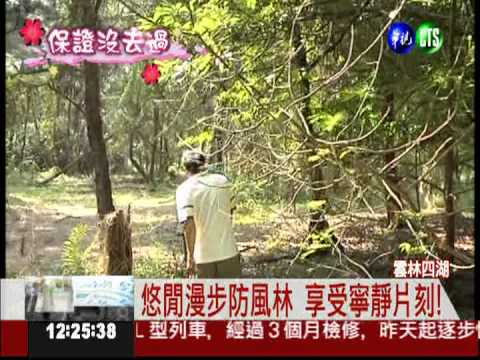 雲林四湖黑森林 吹海風賞夕陽!